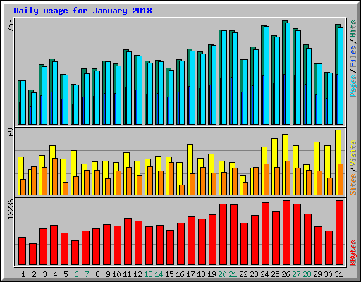 Daily usage for January 2018