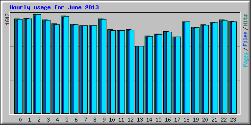 Hourly usage for June 2013