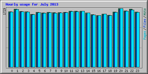 Hourly usage for July 2013