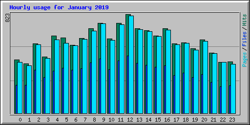 Hourly usage for January 2019