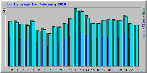 Hourly usage for February 2019