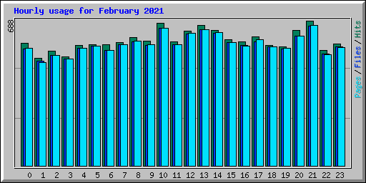 Hourly usage for February 2021