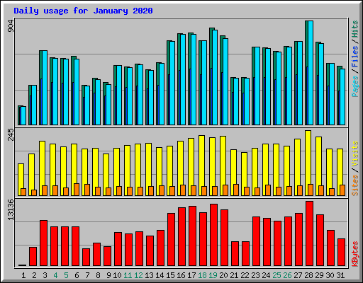 Daily usage for January 2020