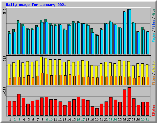 Daily usage for January 2021