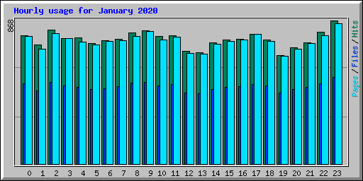 Hourly usage for January 2020
