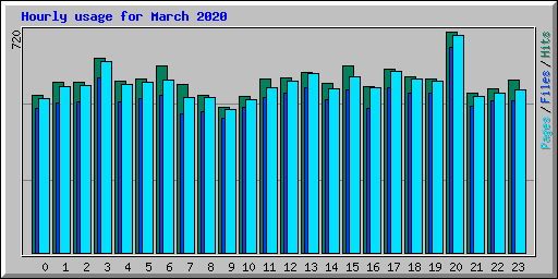 Hourly usage for March 2020