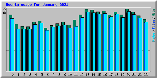 Hourly usage for January 2021