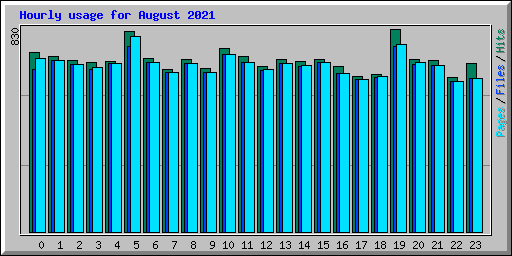 Hourly usage for August 2021